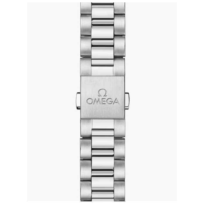 Omega_Seamaster_Railmaster_38mm_235_10_38_20_06_001_Juwelier_Clem_Vercammen_Omega_Dealer_05.jpg