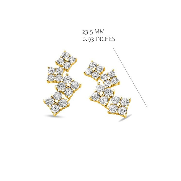 Juweel Silver Rose Oorstekers EA2482G 