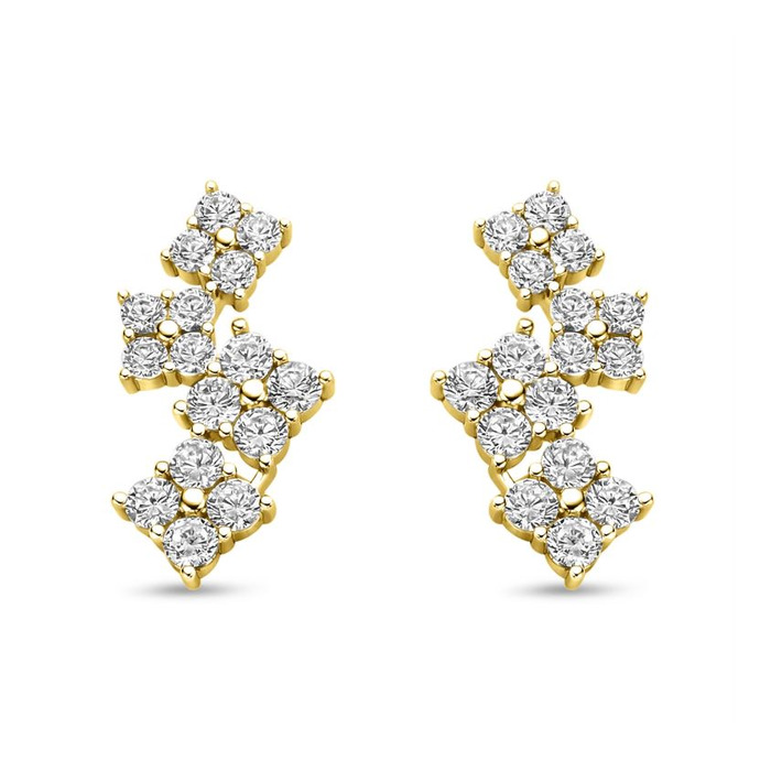 Juweel Silver Rose Oorstekers EA2482G 