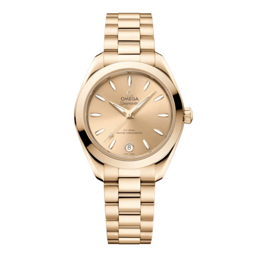 Horloge OMEGA SEAMASTER AQUA TERRA 220.50.30.20.08.001 Horloge OMEGA SEAMASTER AQUA TERRA 220.50.30.20.08.001