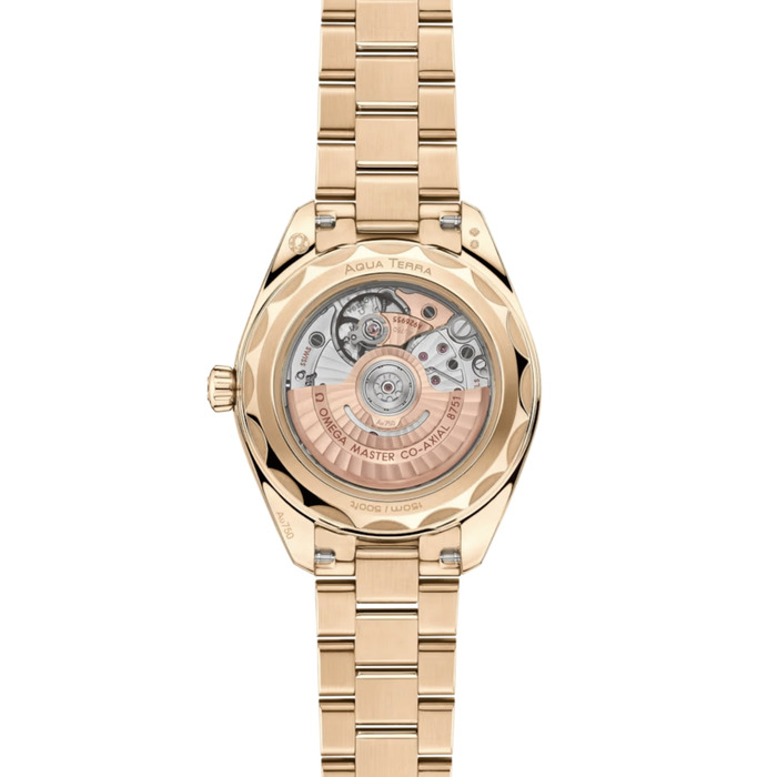 271329_01_Omega_Seamaster_Aqua_Terra_22050302008001_Juwelier_Clem_Vercammen_2.jpg