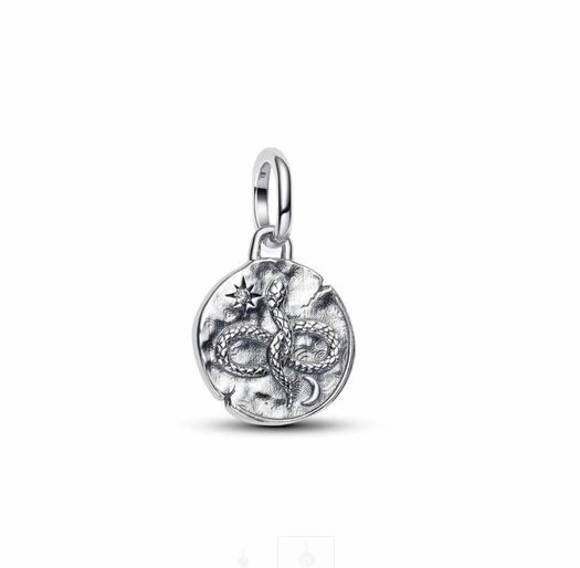 Pandora Médaillon Serpent Infini Charm 793976C01 bij Juwelier Clem ...